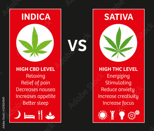 cannabis indica and sativa strains species information