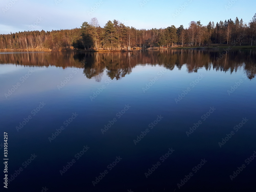 reflection of trees in water - Oslo, lake Sognsvann 