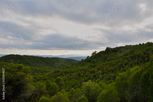 Mountain landscape in the pine forests, colors of nature