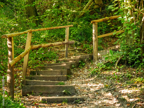 View on stairs in the forest of the Vintgar Gorge in Slovenia