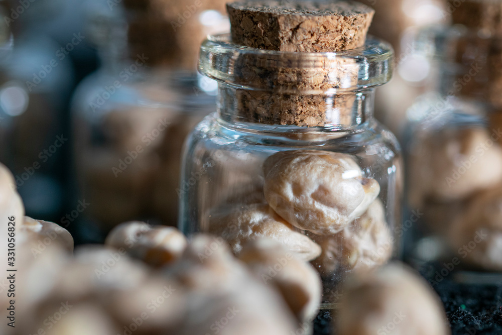 macro photography of raw chickpeas in glass jars macro photography of raw chickpeas in glass jars