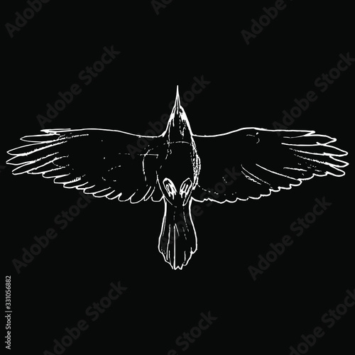 Isolated vector illustration. Flying raven bird. Hand drawn linear doodle ink sketch. White silhouette on black, background.