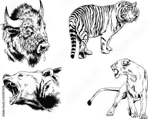 set of vector drawings of various animals, predators and herbivores, hand-drawn sketches, tattoos