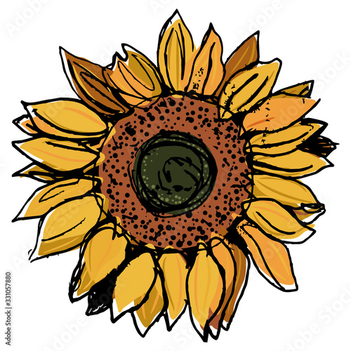 Head of sunflower blossom. Hand drawn colorful rough sketch.