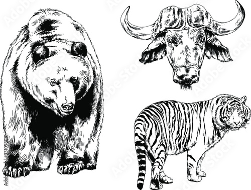 set of vector drawings of various animals, predators and herbivores, hand-drawn sketches, tattoos