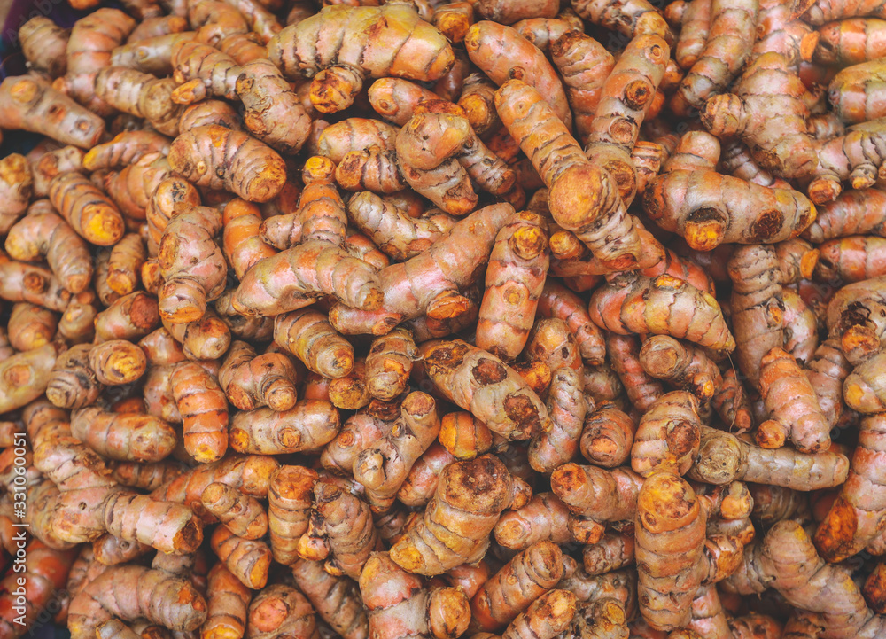 Fresh turmeric roots view from top, turmeric (Curcuma ), is one of the herbs and medicinal plants native to the Southeast Asian region Fresh turmeric roots view from top, turmeric (Curcuma ), is one of the herbs and medicinal plants native to the Southeast Asian region