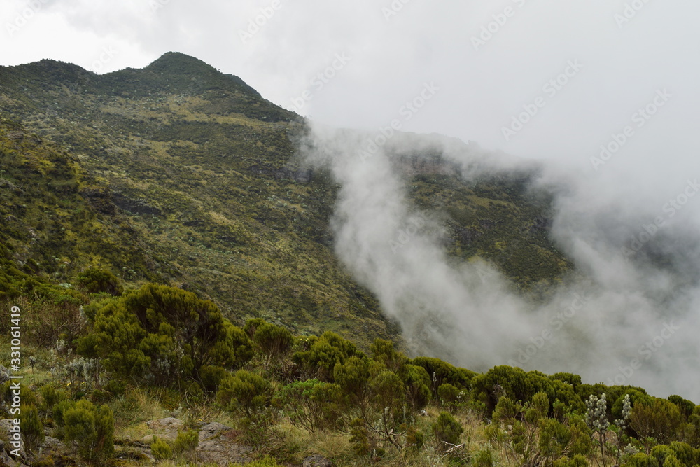 Rock formations in the foggy mountain landscapes of Aberdare Ranges, Kenya