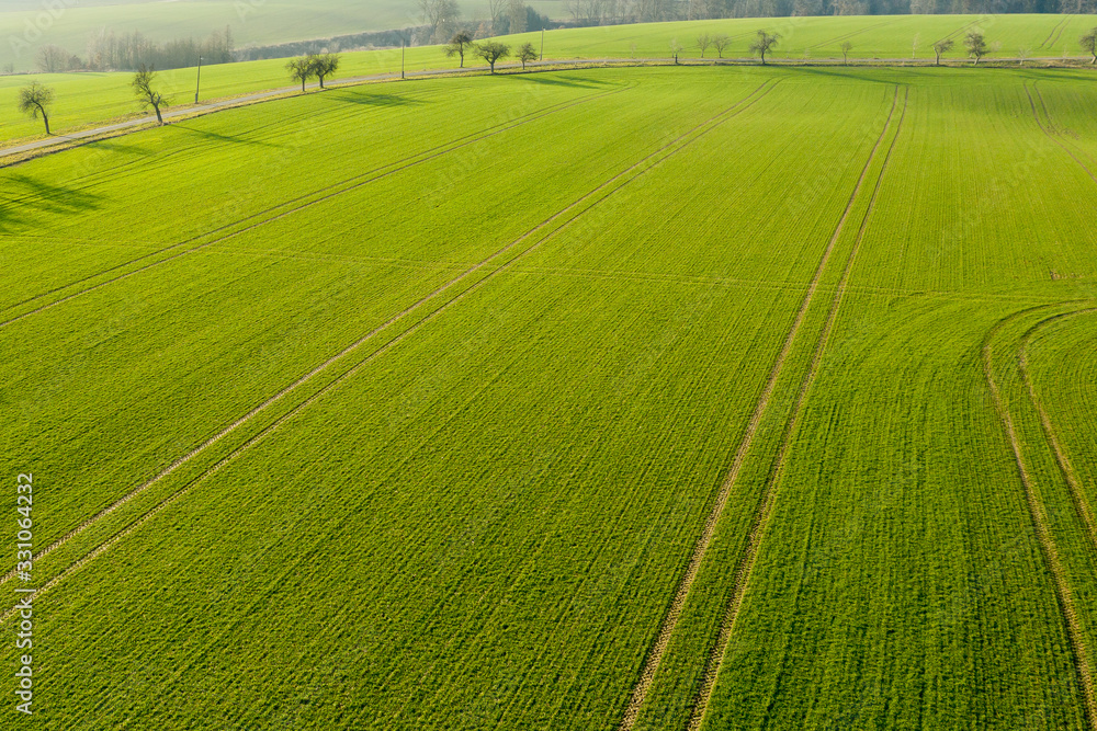 Aerial view on a field with green grass and few trees along a road. Panoramic view on cultivated land.