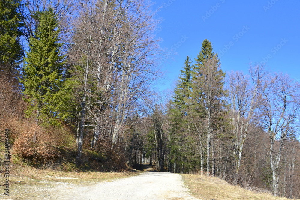 Road to the winter and touristic station Poiana Brasov, 12 km from Brasov, a town situated in Transylvania, Romania, in the center of the country Road to the winter and touristic station Poiana Brasov, 12 km from Brasov, a town situated in Transylvania, Romania, in the center of the country