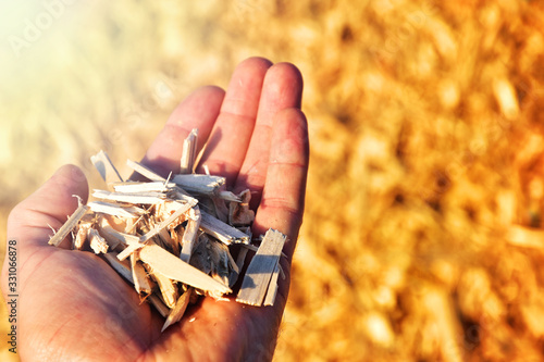 Tableau sur toile wood chips in hand renewable heating source fuel