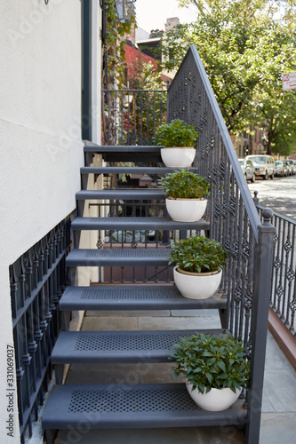 Potted plants in stairs