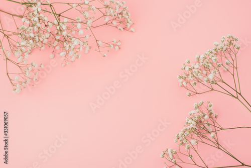 Layout Composition of white flowers in a rustic style, a place for your text. Flat lay, top view photo mock up. dried flower on a pink background