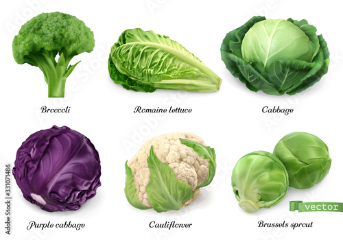 Cabbages and lettuce, leaf vegetables realistic food objects . Broccoli, romaine lettuce, green and purple cabbages, cauliflower, brussels sprout . 3d vector icon set