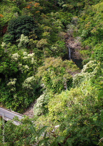 Road to Hana passes through Jungle with Waterfall in Hawaii