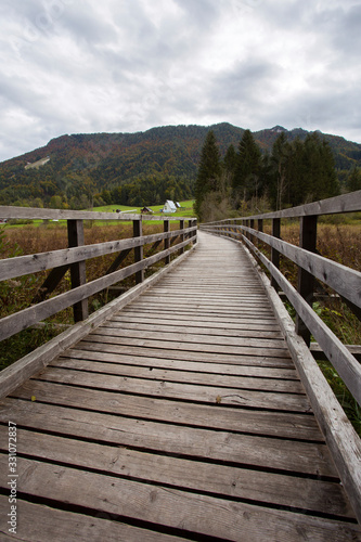 Zelenci - one of Sava river springs