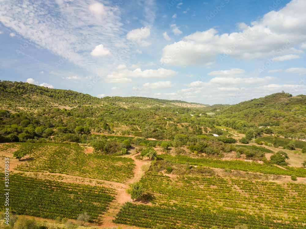 Drone shot of vineyard