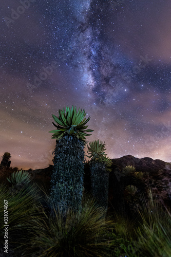 La vía láctea con montañas, nevados, árboles y más