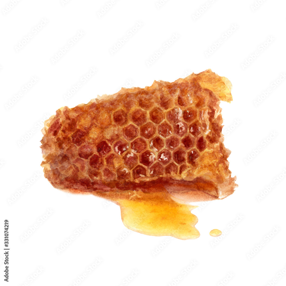 Honey comb watercolor isolated on white background Honey comb watercolor isolated on white background