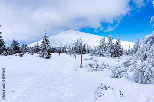 View to a hiking trail which leads to a summit of Snezka mountain, the highest Czech mountain. Located on a border with Poland. Winter picture of Krkonose national park. © petrsvoboda91