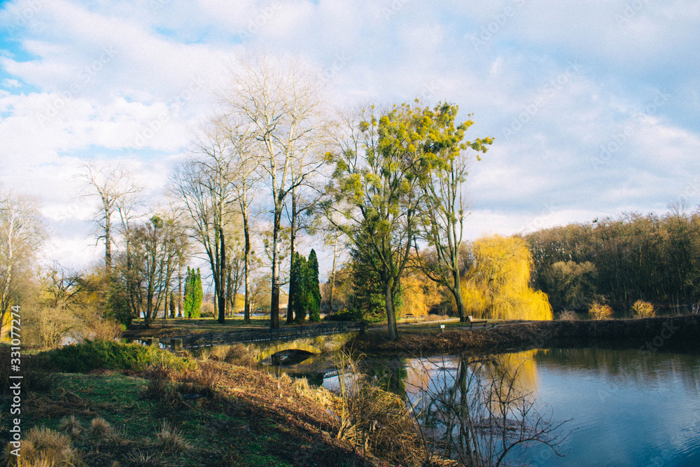 autumn landscape with trees and lake in autumn autumn landscape with trees and lake in autumn