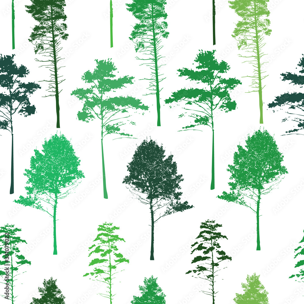 Obraz premium The seamless background is the silhouettes of the trees. Vector illustration