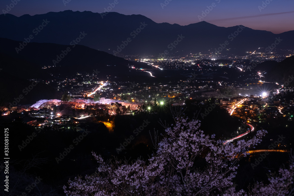 夜景桜