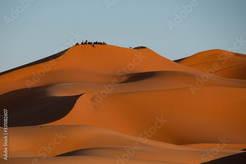 Tourists on Sand Dune, Sahara Desert