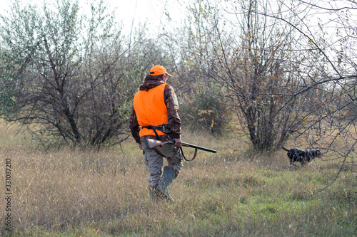 A man with a gun in his hands and an orange vest on a pheasant hunt in a wooded area in cloudy weather. Hunter with dogs in search of game.