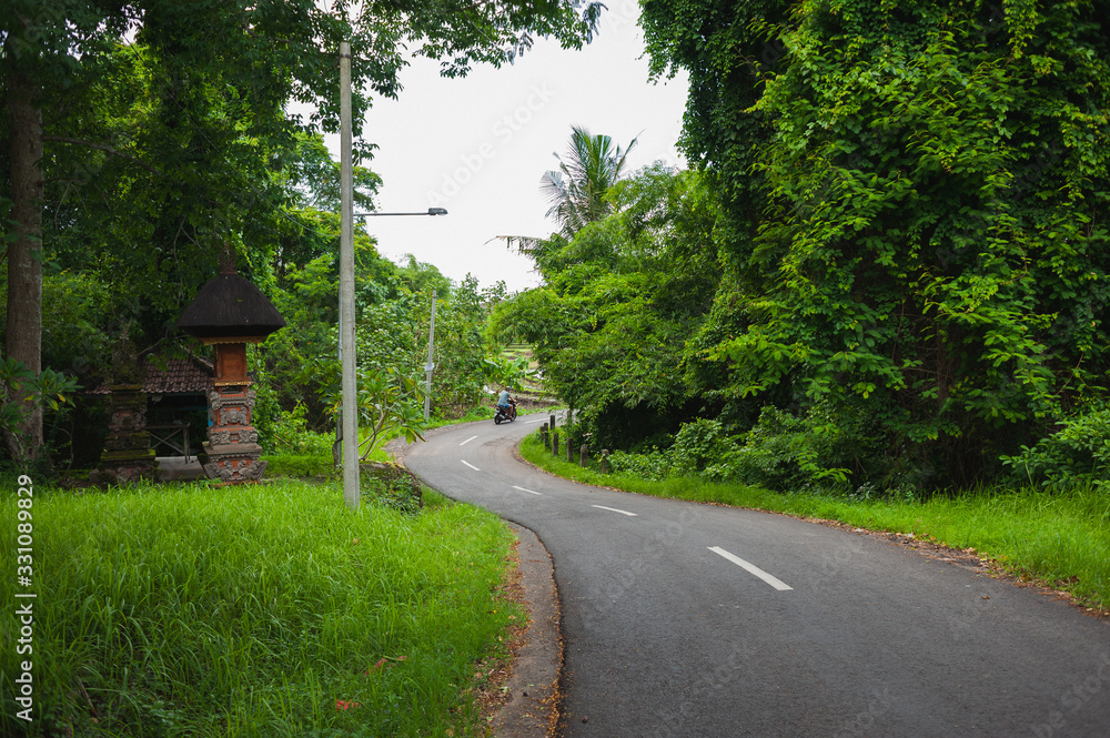 Asphalt road with markings in the tropical jungle.