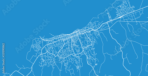 Urban vector city map of New Plymouth, New Zealand photo