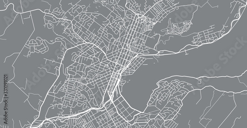Urban vector city map of Dunedin, New Zealand photo