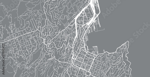 Urban vector city map of Wellington, New Zealand