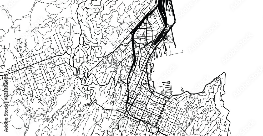 Urban vector city map of Wellington, New Zealand