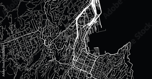 Obraz na plátně Urban vector city map of Wellington, New Zealand