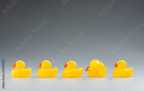 Yellow Rubber Ducks in a Row, Photographed on a Studio Background