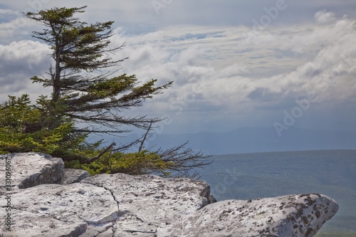 Unusual rock formations at Bear Rock in Dolly Sods Wilderness in West Virginia during summer photo