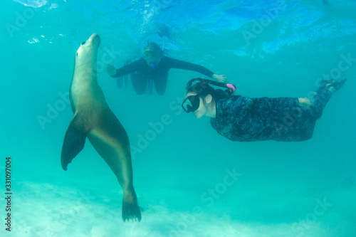 Young women snorkel and dive with Sea Lion 