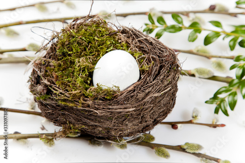 Easter Egg in bird nest with green moss spring foliage background leaves, bears catkins, willow branch on white 