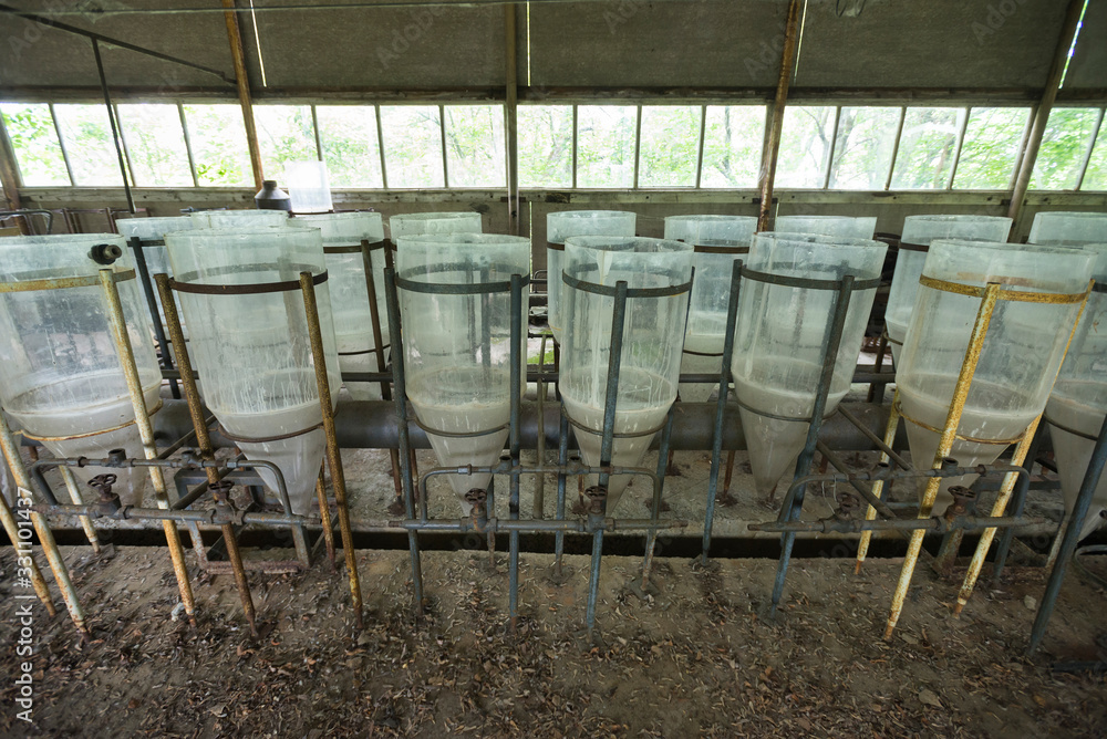 Abandoned fish farm in Chernobyl Abandoned fish farm in Chernobyl