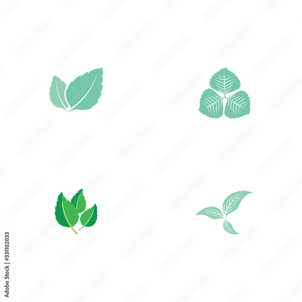 Set Leaf Mint Logo Template vector Set Leaf Mint Logo Template vector