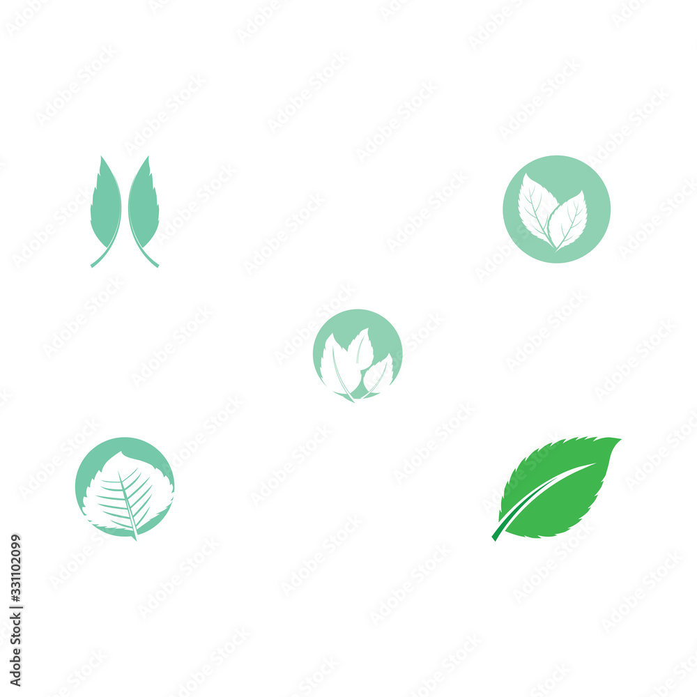 Set Leaf Mint Logo Template vector Set Leaf Mint Logo Template vector