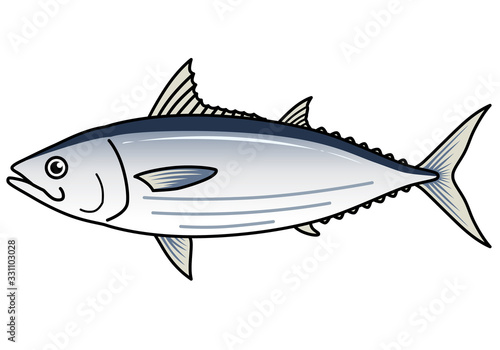 魚のイラストーカツオ