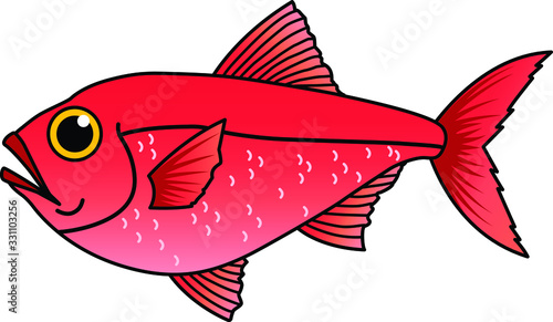魚のイラストーキンメダイ