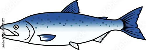 魚のイラストーサケ