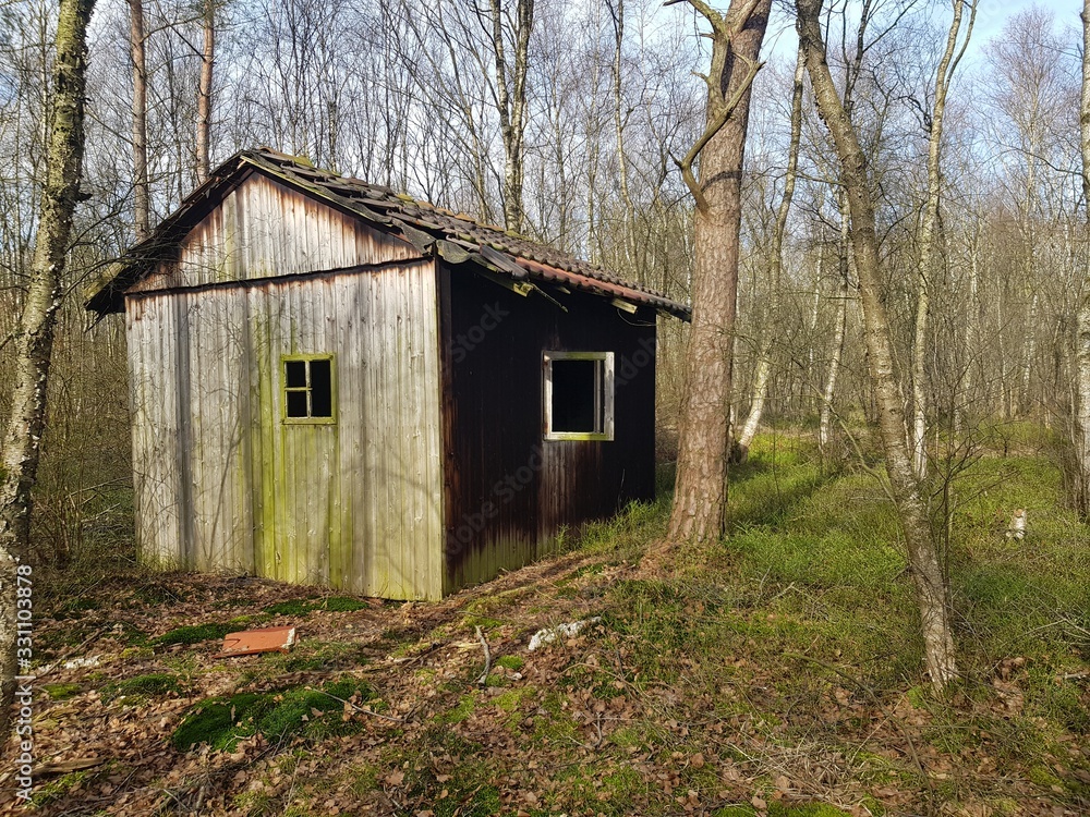 Zerfallener Waldschuppem Zerfallener Waldschuppem
