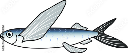魚のイラストートビウオ