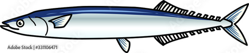 魚のイラストーサンマ