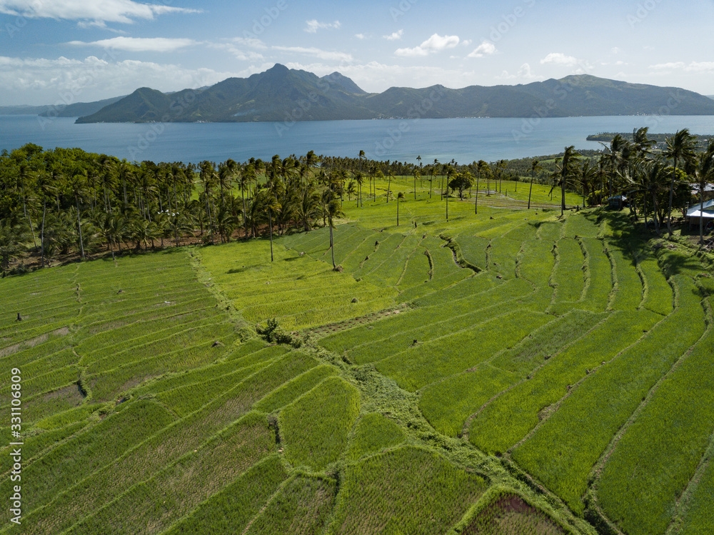 Terrace rice fields in the Philippines, Biliran island, Eastern Visayas.
