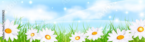 Daisy