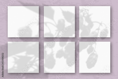 6 square sheets of white textured paper on a pastel lilac wall. Mockup overlay with the plant shadows. Natural light casts shadows from the tops of field plants and flowers. Flat lay, top view
